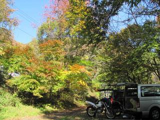 パドックの紅葉_3801