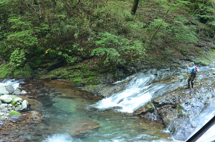DSC_2761.jpg