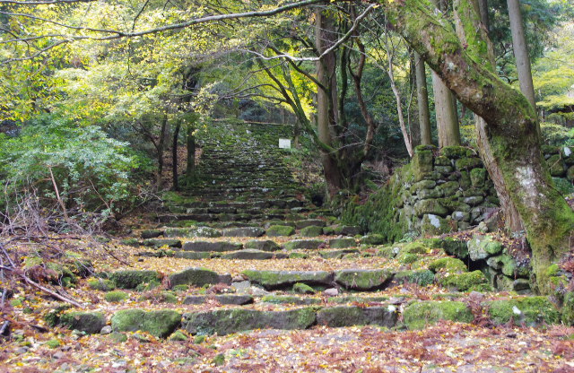 IMGP3470.jpg