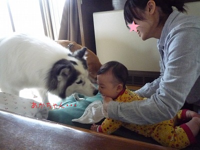 16P1170319.jpg