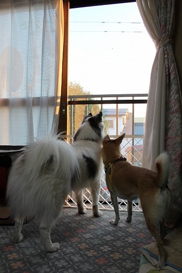 18IMG_2301.jpg