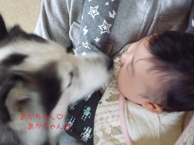 18P1170269.jpg