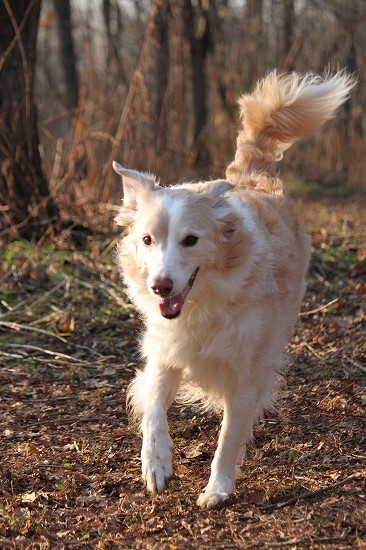 31IMG_3456.jpg
