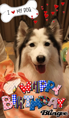 828562394_418109.gif