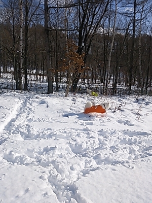 DSC_0859.jpg