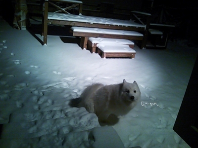 DSC_0874.jpg