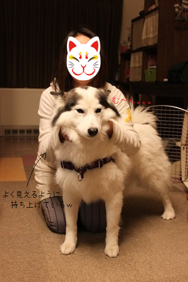 IMG_3587.png