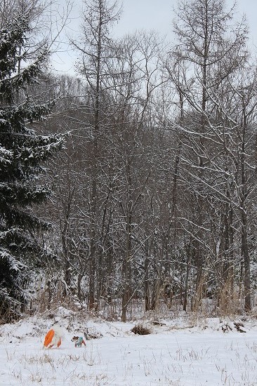 IMG_3724.jpg