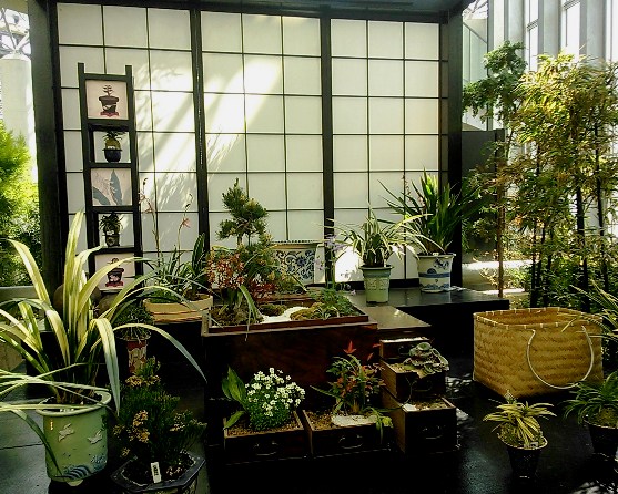 54_marofuku6_130427.jpg