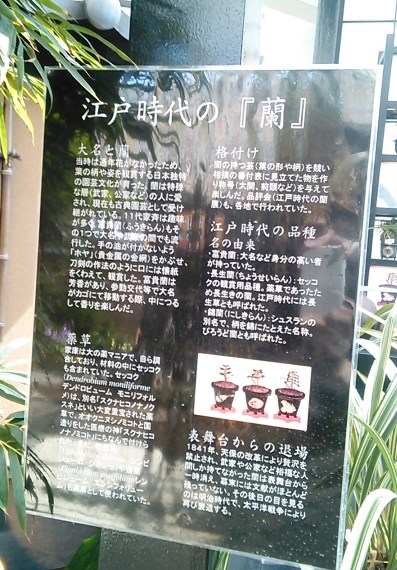 54_marofuku7_130427.jpg
