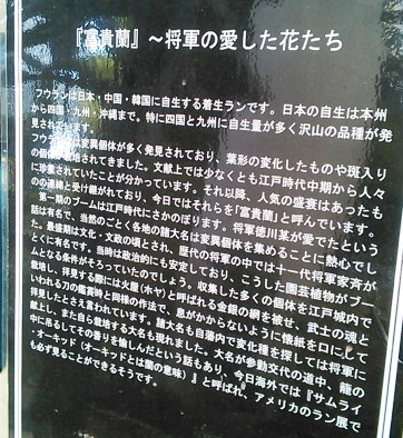 56_marofuku5_130503.jpg
