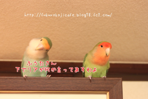 はる&ふうた2