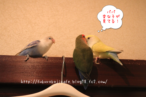 パパ!