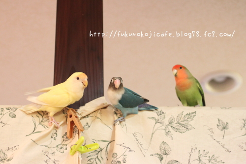ミントくん&っくく5