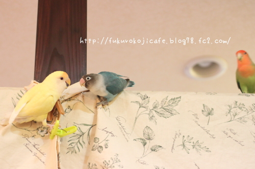 ミントくん&くく4