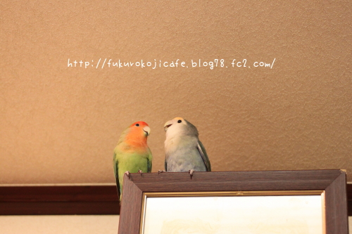 ふうた&るり1