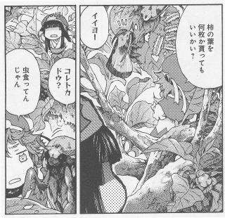柿の葉