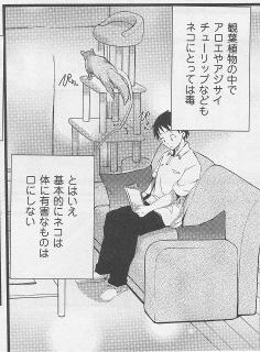 シュンくん