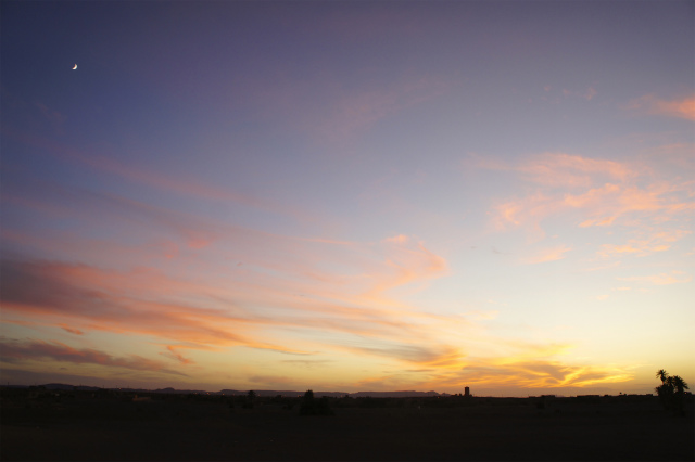 DSC04114.jpg