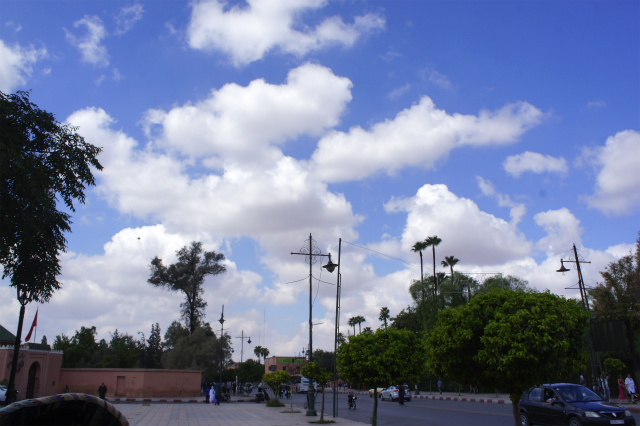 DSC04324.jpg