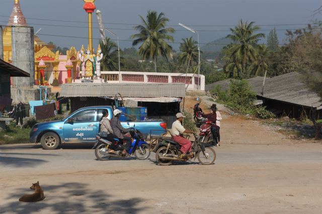 DSC04346.jpg
