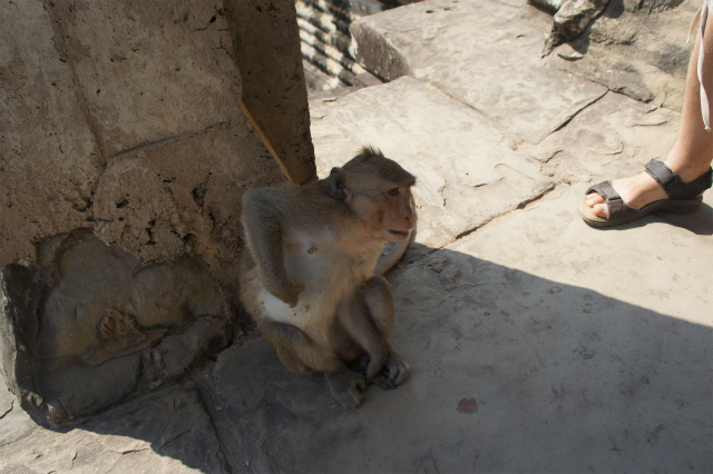 DSC04474.jpg
