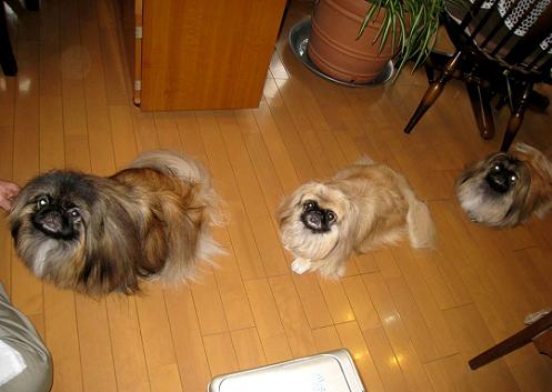 2012-11-23-2.jpg