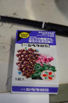 DSC_5183 (424x640)