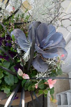 DSC_5219 (424x640)