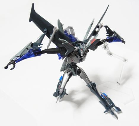 TFPss0513.jpg