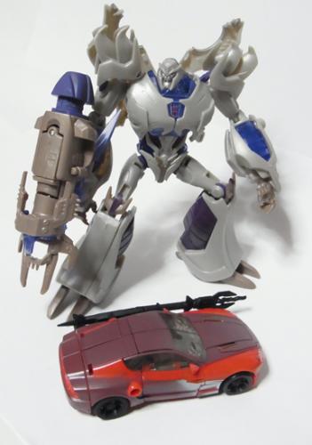 TFpNOut09.jpg
