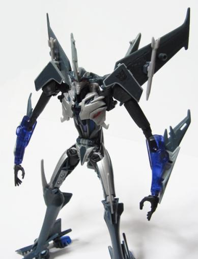TFpRIDss00.jpg