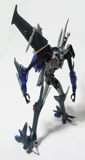 TFpRIDss01.jpg