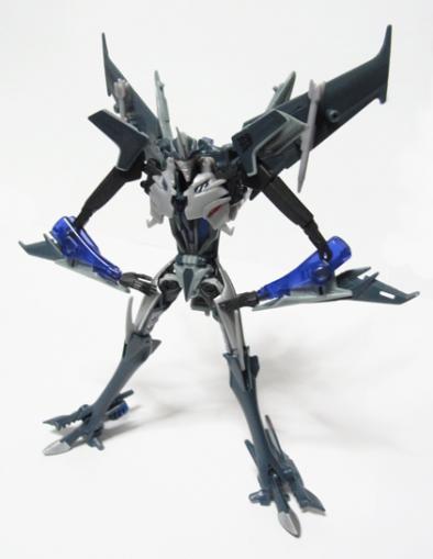 TFpRIDss02.jpg