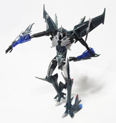 TFpRIDss03.jpg