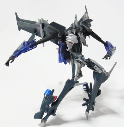 TFpRIDss04.jpg