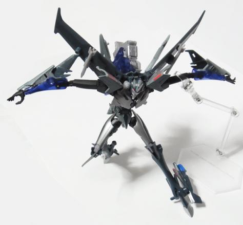 TFpRIDss06.jpg