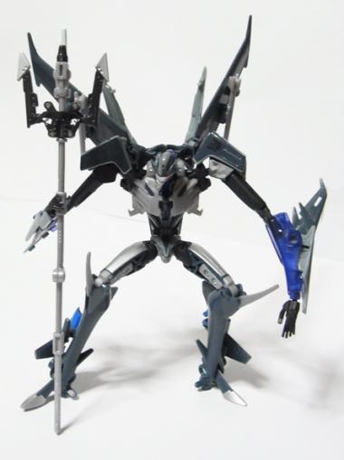 TFpRIDss17.jpg