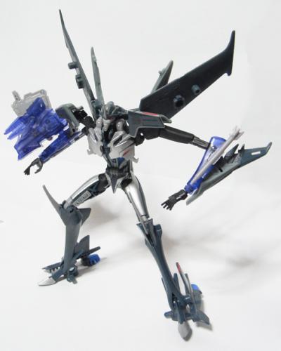 tfpStar01b.jpg