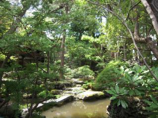 2012_0624_100551AA.jpg