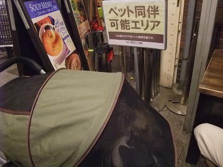 8-13ペット可