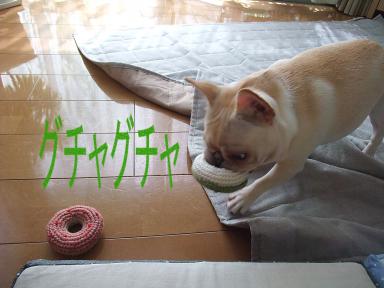 8-23ぐちゃ