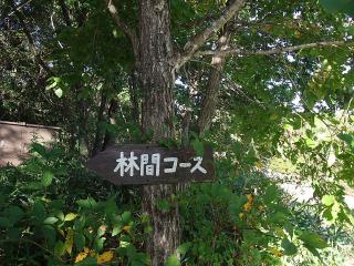 10-18林間