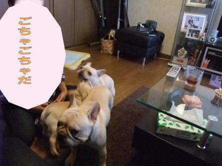 10-22ごちゃごちゃ