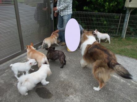 10-30おでむかえ