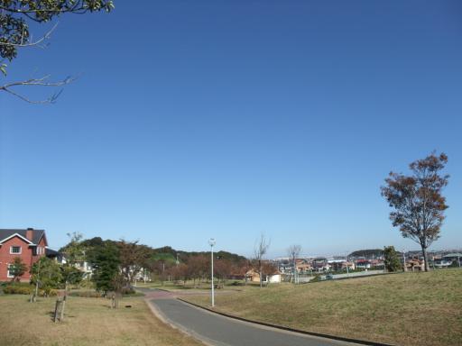 11.4南公園