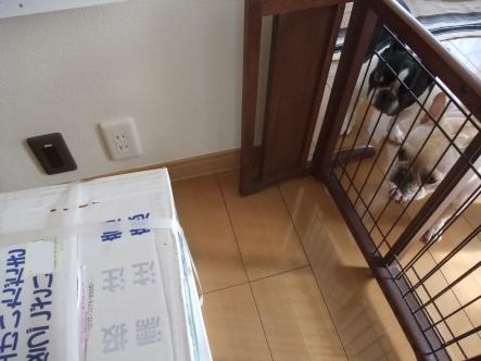 11-11がんみ