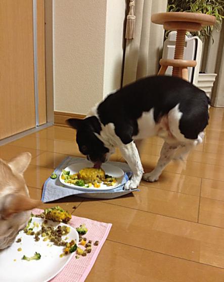 12-29ふるあし