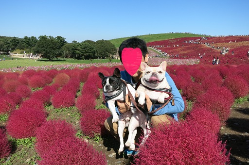 10-31ふるうたコキア