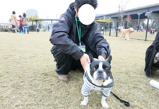 11-30ランふる